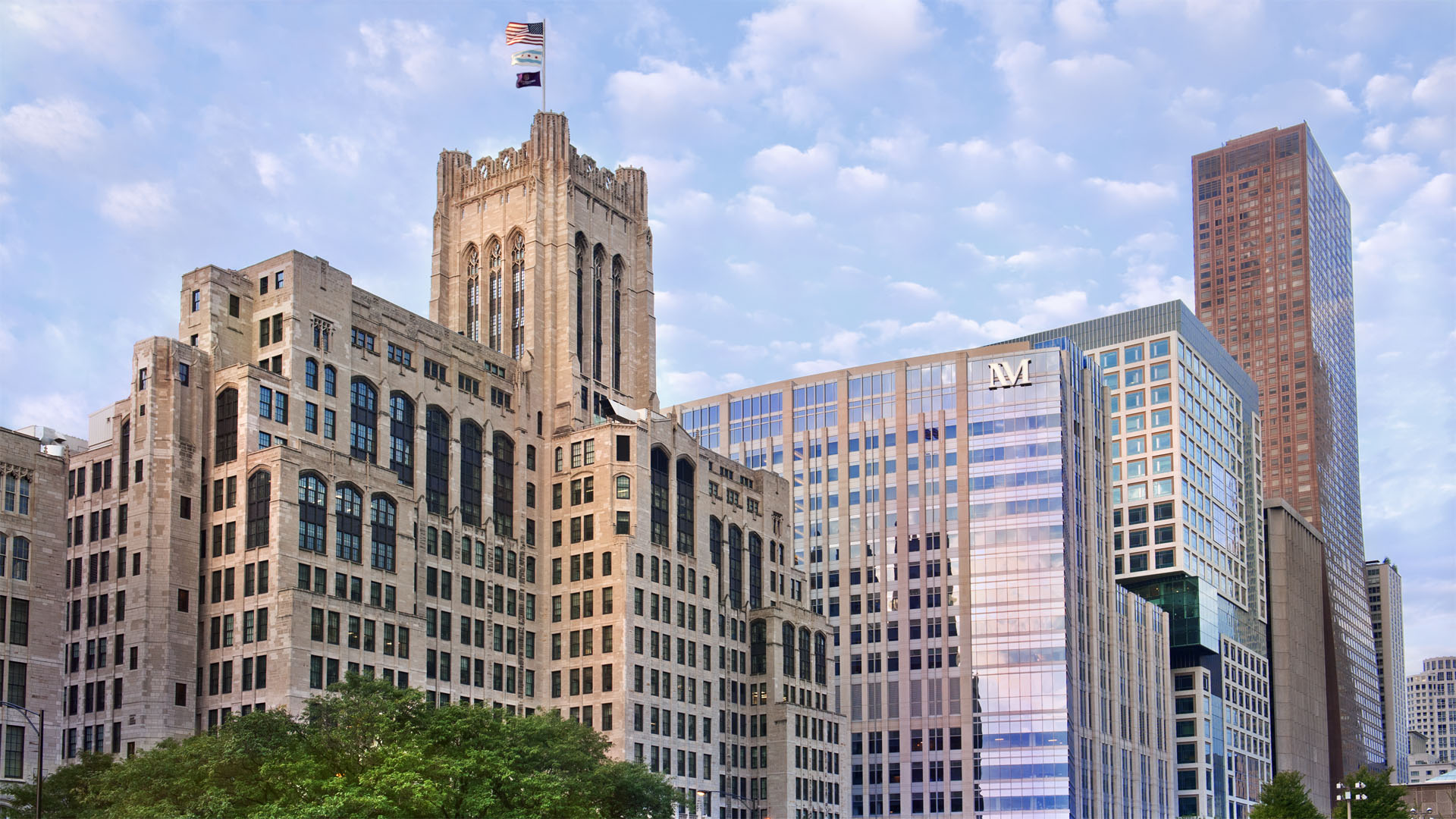 New Chief of Division of Hematology and Oncology Named