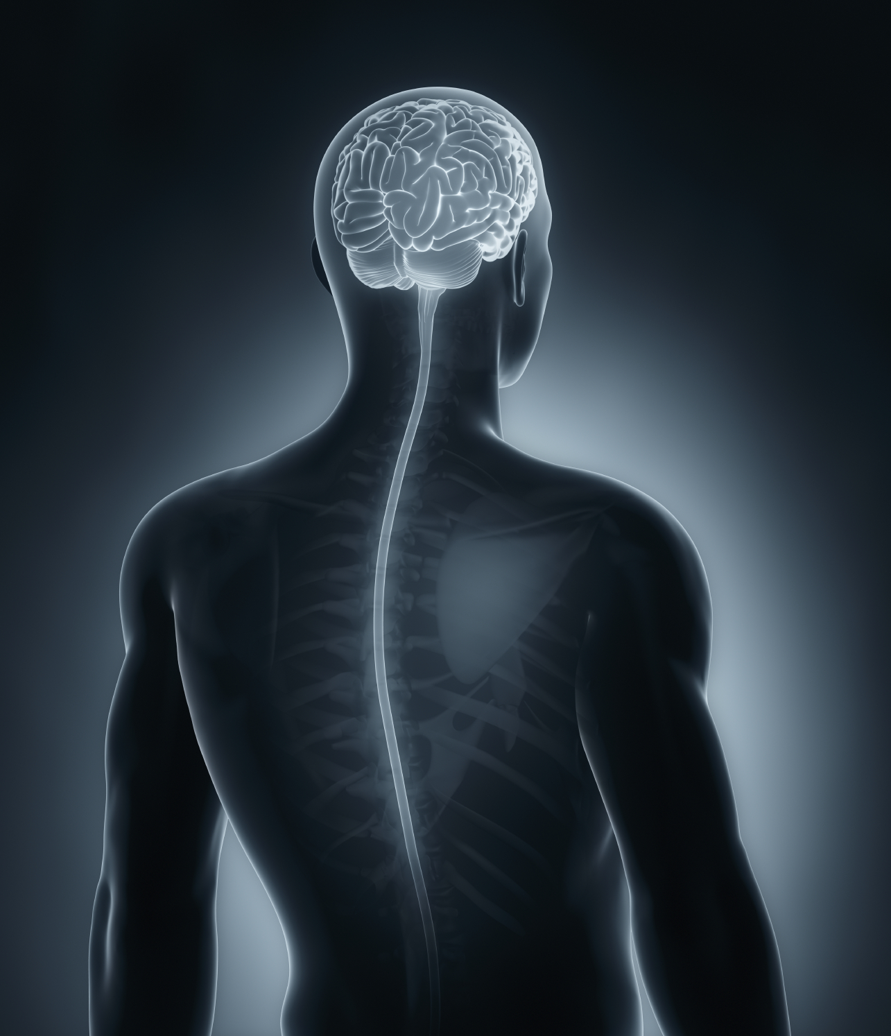 Chronic Pain Can Be Predicted Within Three Days of an Injury