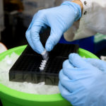 Understanding Mechanisms Underlying Skin Development