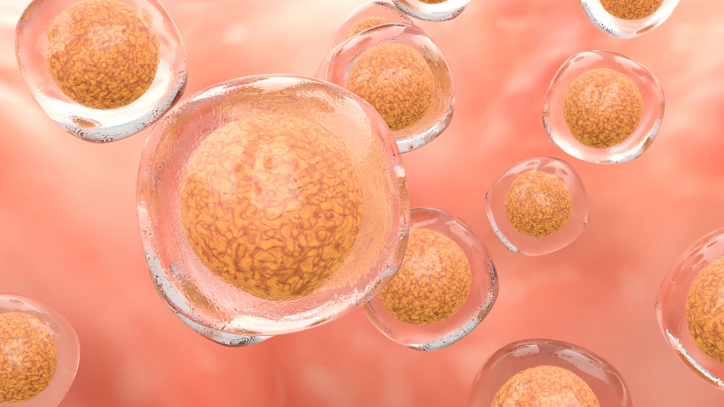 Novel Approach Improves Protein Characterization in Human Tissue